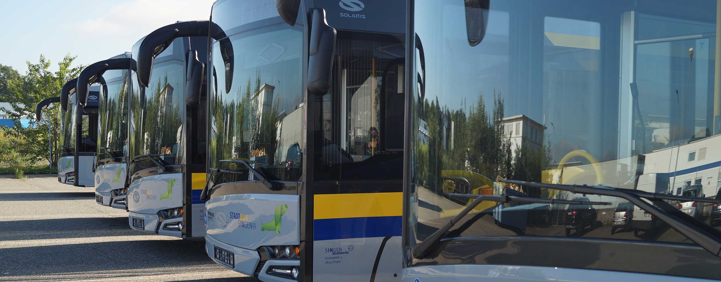 Busse Stadt Singen