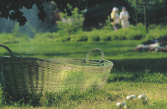 Foto eines Korbes und goldenen Äpfeln auf dem Rasen im Stadtpark