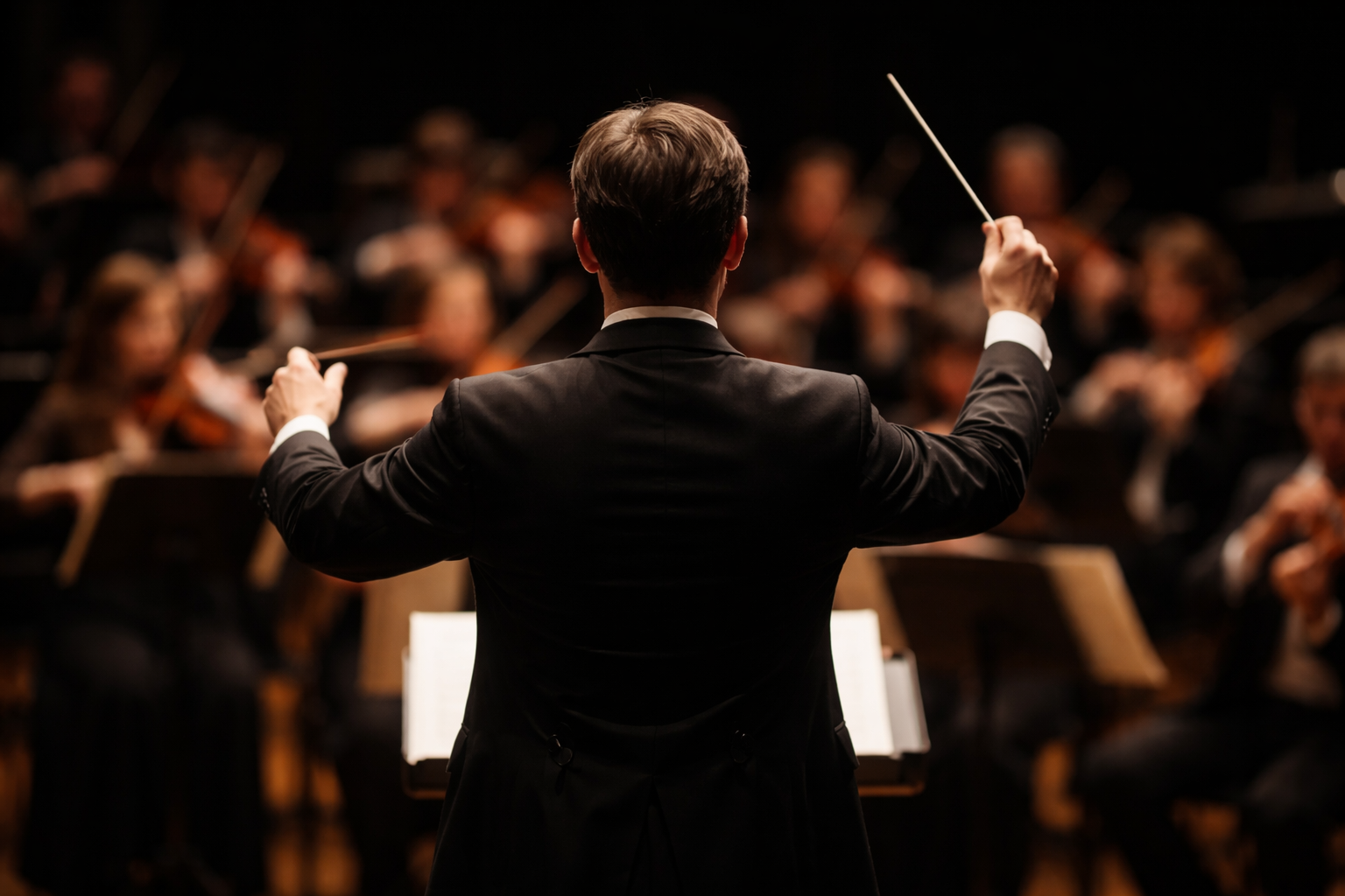 Foto eines Dirigenten (steht mit dem Rücken zum Betrachter) vor einem Orchester (nur unscharf zu sehen)